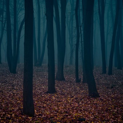 1920 x 1080 HD Wallpapers 1284